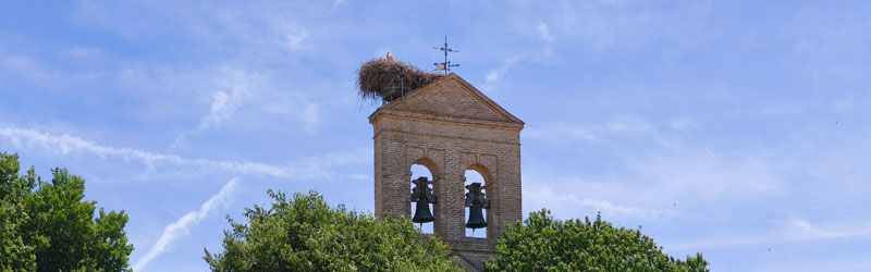 Casarrubuelos