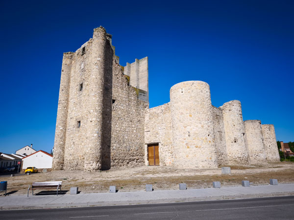 Torrejón de Velasco, Vista general del Castillo de Puñonrostro