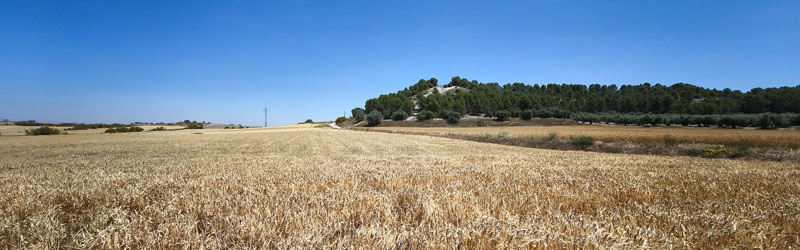 Torrejón de Velasco