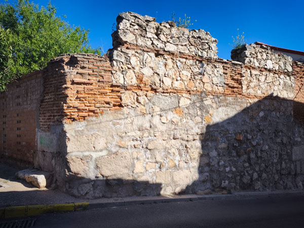 Campo Real, Ruinas del Palacio de los Condes de Oñate