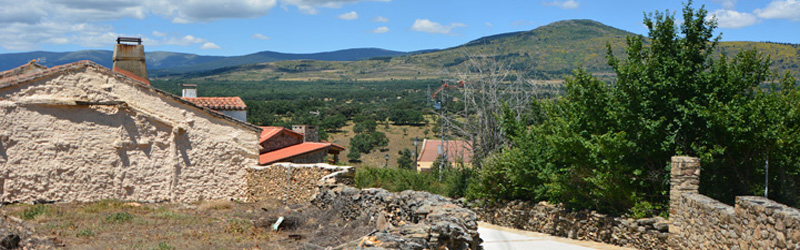 Madarcos
