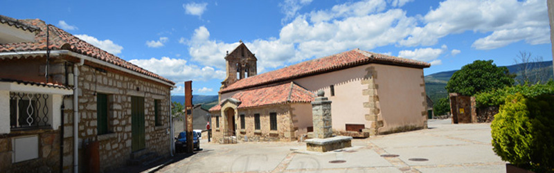 Madarcos