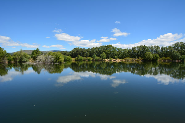 Prádena del Rincón, Laguna del Salmoral