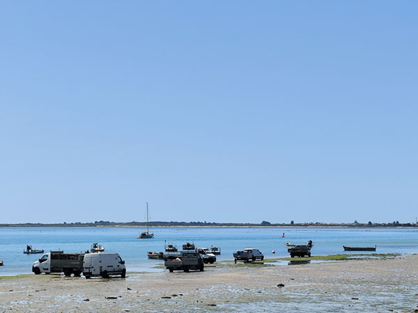 Isla de Ré, La Patache y embarcaciones de ostricultores