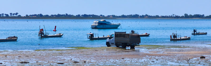 Isla de Ré, Saint-Pierre-d'Oléron