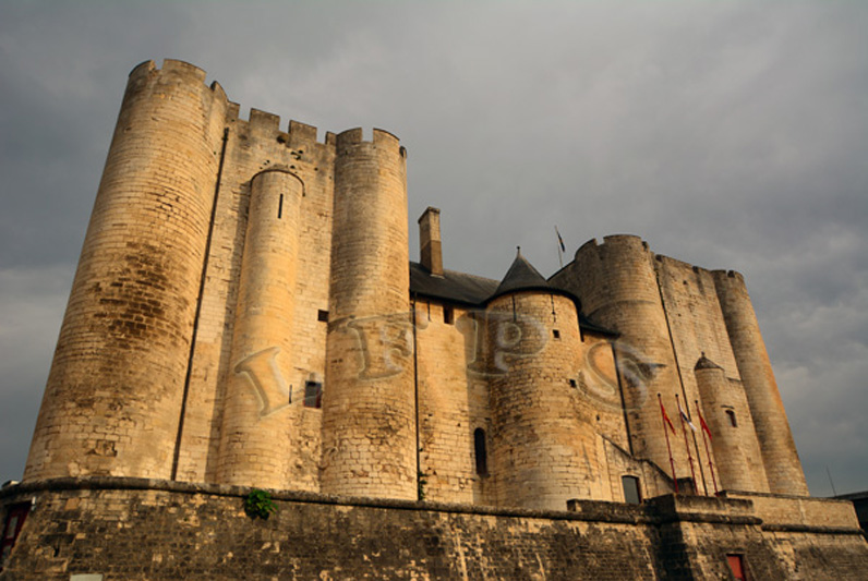 Niort, Donjon