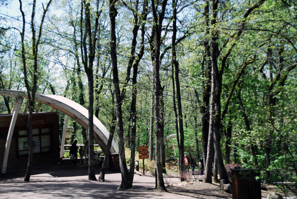 Cuevas de Lascaux II