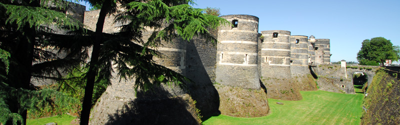 Castillo de Angers