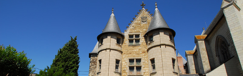 Castillo de Angers