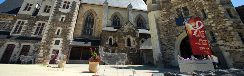 Castillo de Angers