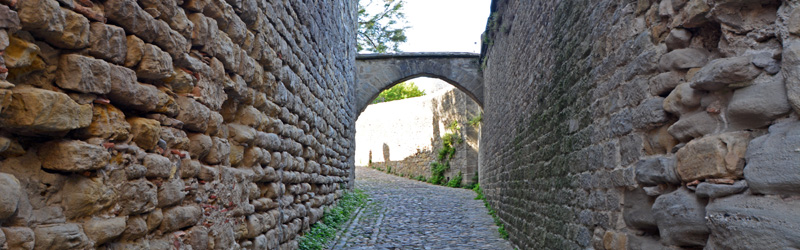 Carcasona