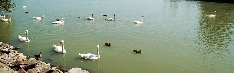 Keszthely y Lago Balatón