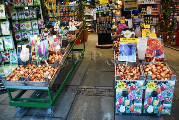 Amsterdam, Mercado de Flores