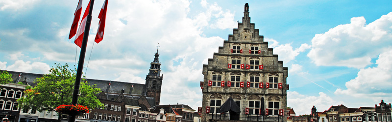 Gouda