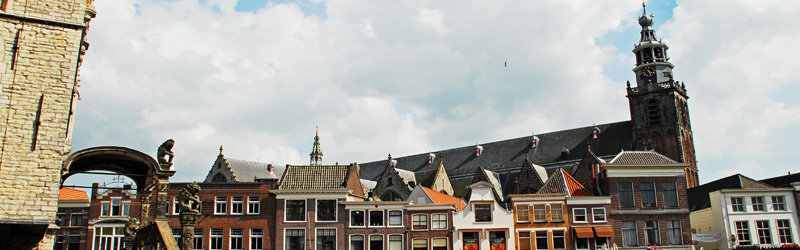 Gouda