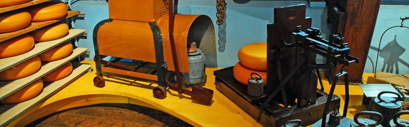 Gouda
