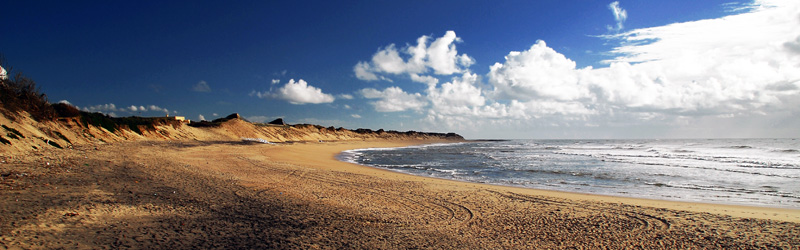 Ofir