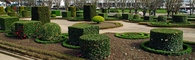 Barcelos - Primera Parte