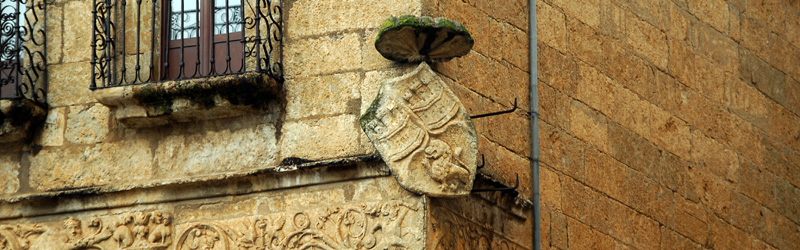 Ciudad Rodrigo - Primera parte