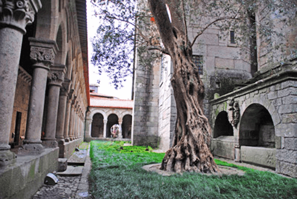 Museo Alberto Sampaio